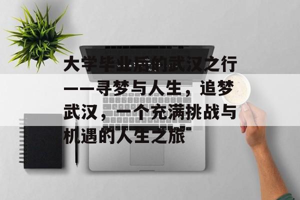 大学毕业后的武汉之行——寻梦与人生，追梦武汉，一个充满挑战与机遇的人生之旅