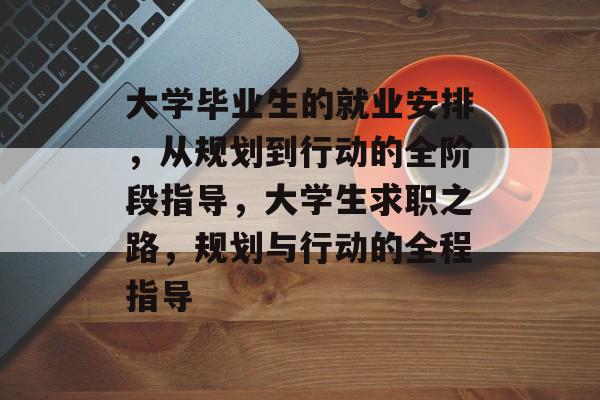 大学毕业生的就业安排，从规划到行动的全阶段指导，大学生求职之路，规划与行动的全程指导