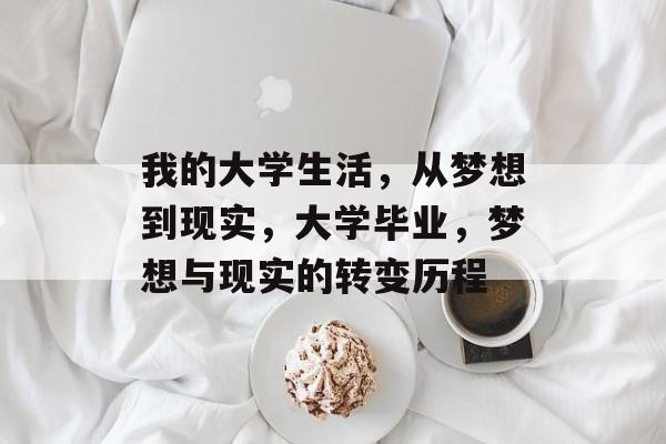 我的大学生活，从梦想到现实，大学毕业，梦想与现实的转变历程