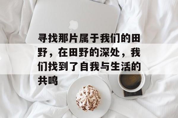 寻找那片属于我们的田野，在田野的深处，我们找到了自我与生活的共鸣