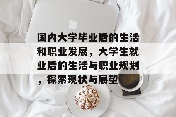 国内大学毕业后的生活和职业发展，大学生就业后的生活与职业规划，探索现状与展望