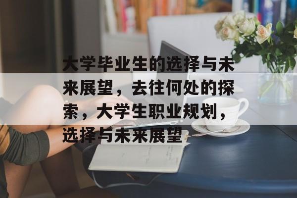 大学毕业生的选择与未来展望，去往何处的探索，大学生职业规划，选择与未来展望