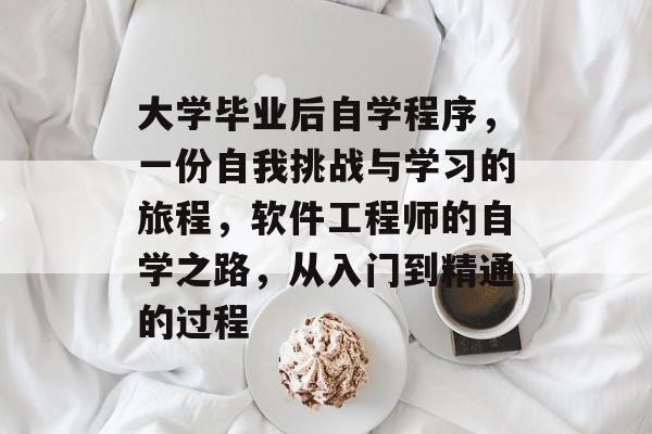 大学毕业后自学程序，一份自我挑战与学习的旅程，软件工程师的自学之路，从入门到精通的过程