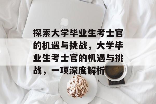 探索大学毕业生考士官的机遇与挑战，大学毕业生考士官的机遇与挑战，一项深度解析
