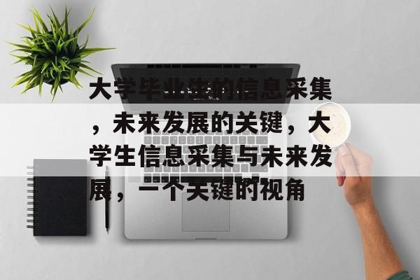 大学毕业生的信息采集，未来发展的关键，大学生信息采集与未来发展，一个关键的视角
