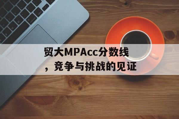 贸大MPAcc分数线,竞争与挑战的见证 贸大MPAcc分数线,竞争与挑战的见证