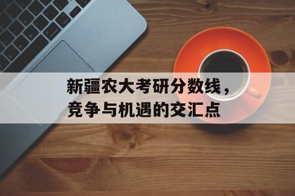 新疆农大考研分数线，竞争与机遇的交汇点