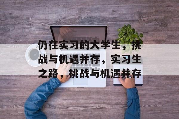 仍在实习的大学生，挑战与机遇并存，实习生之路，挑战与机遇并存