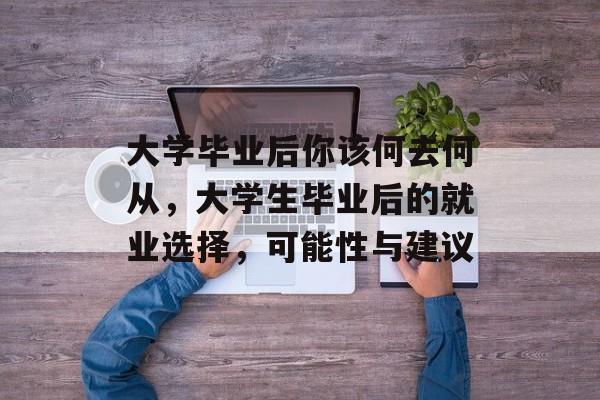 大学毕业后你该何去何从,大学生毕业后的就业选择,可能性与建议 大学毕业后你该何去何从,大学生毕业后的就业选择,可能性与建议