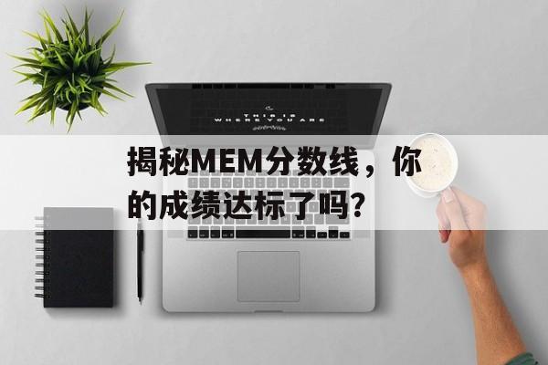 揭秘MEM分数线，你的成绩达标了吗？