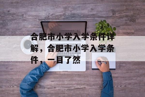 合肥市小学入学条件详解，合肥市小学入学条件，一目了然