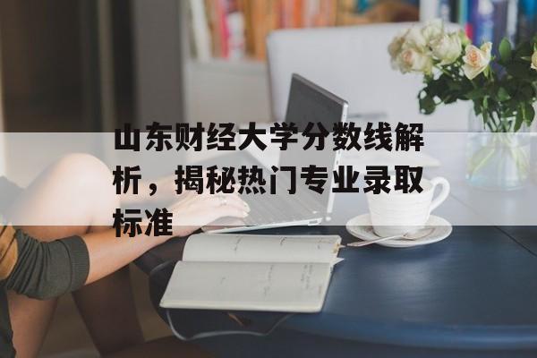 山东财经大学分数线解析，揭秘热门专业录取标准