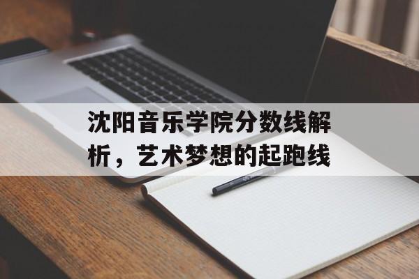 沈阳音乐学院分数线解析，艺术梦想的起跑线