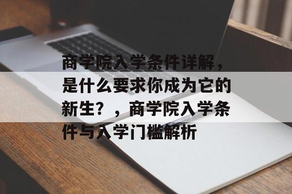 商学院入学条件详解，是什么要求你成为它的新生？，商学院入学条件与入学门槛解析
