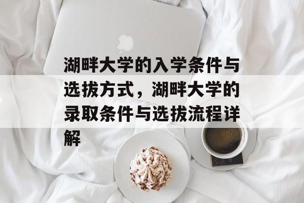 湖畔大学的入学条件与选拔方式，湖畔大学的录取条件与选拔流程详解