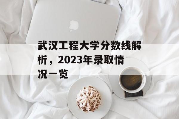 武汉工程大学分数线解析，2023年录取情况一览