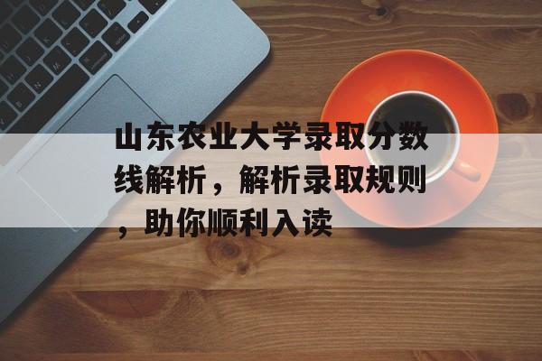 山东农业大学录取分数线解析，解析录取规则，助你顺利入读