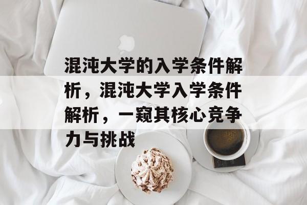混沌大学的入学条件解析，混沌大学入学条件解析，一窥其核心竞争力与挑战