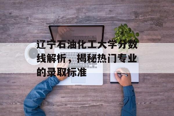 辽宁石油化工大学分数线解析，揭秘热门专业的录取标准
