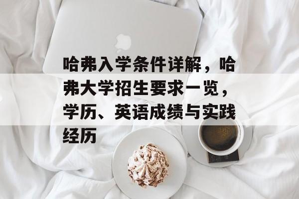 哈弗入学条件详解，哈弗大学招生要求一览，学历、英语成绩与实践经历