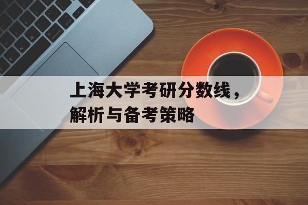 上海大学考研分数线，解析与备考策略