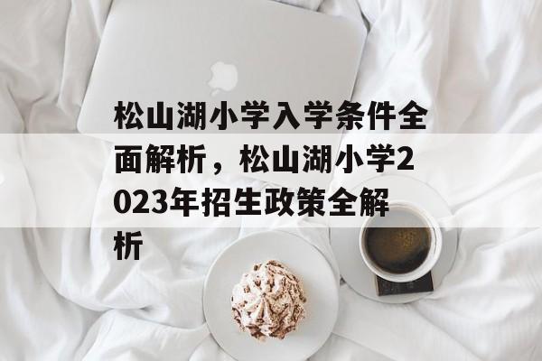 松山湖小学入学条件全面解析，松山湖小学2023年招生政策全解析