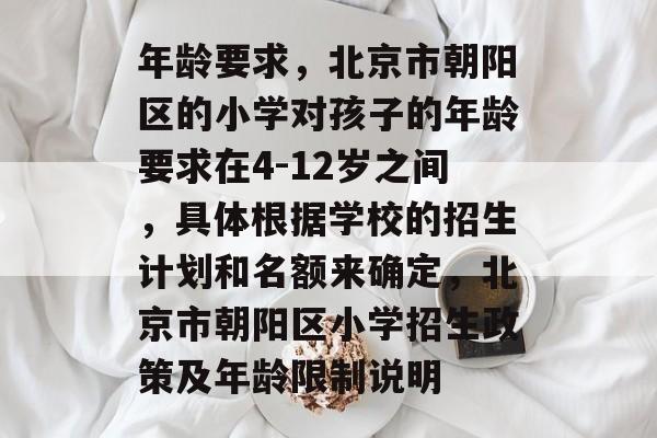 年龄要求，北京市朝阳区的小学对孩子的年龄要求在4-12岁之间，具体根据学校的招生计划和名额来确定，北京市朝阳区小学招生政策及年龄限制说明
