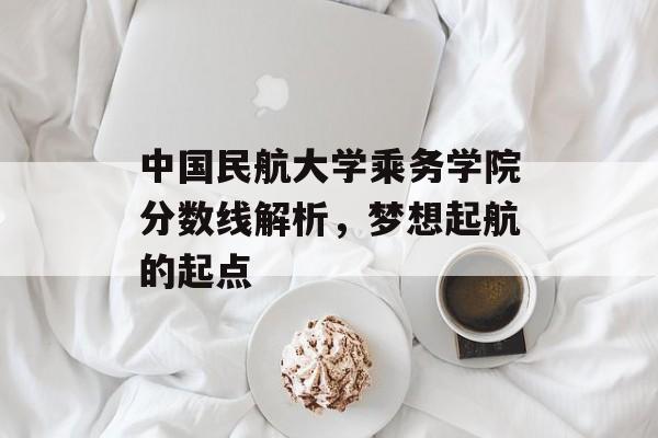 中国民航大学乘务学院分数线解析,梦想起航的起点 中国民航大学乘务学院分数线解析,梦想起航的起点