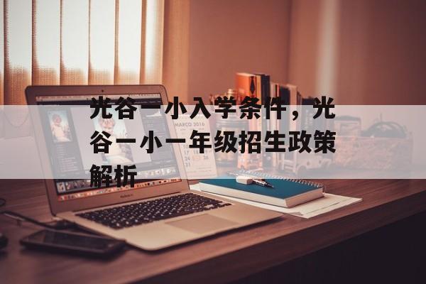 光谷一小入学条件，光谷一小一年级招生政策解析