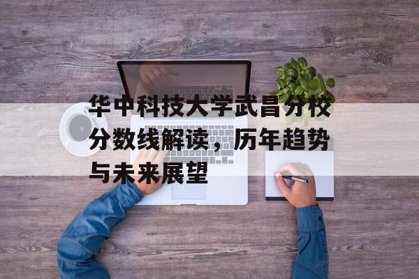 华中科技大学武昌分校分数线解读，历年趋势与未来展望