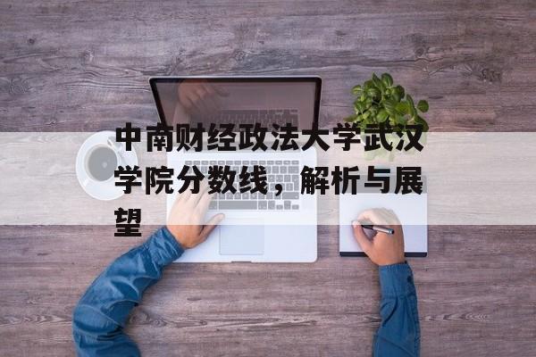 中南财经政法大学武汉学院分数线,解析与展望 中南财经政法大学武汉学院分数线,解析与展望