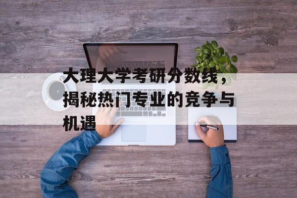 大理大学考研分数线，揭秘热门专业的竞争与机遇