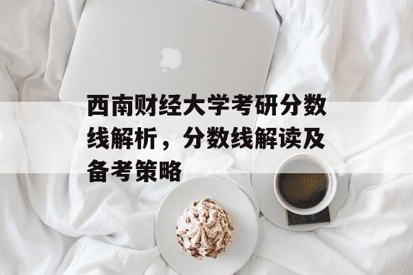 西南财经大学考研分数线解析，分数线解读及备考策略