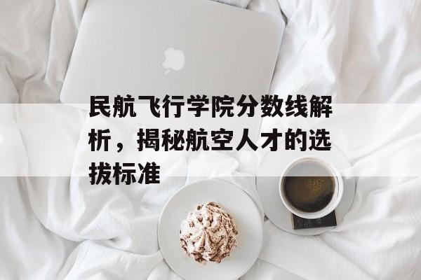 民航飞行学院分数线解析，揭秘航空人才的选拔标准