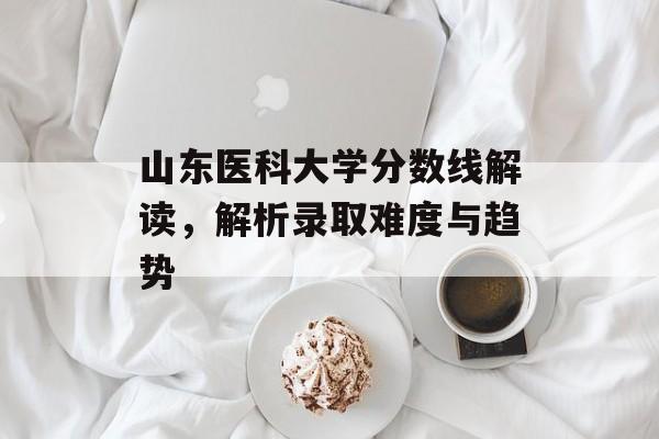 山东医科大学分数线解读，解析录取难度与趋势