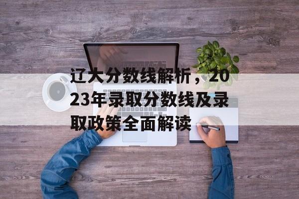 辽大分数线解析，2023年录取分数线及录取政策全面解读
