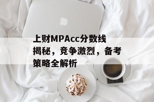 上财MPAcc分数线揭秘，竞争激烈，备考策略全解析