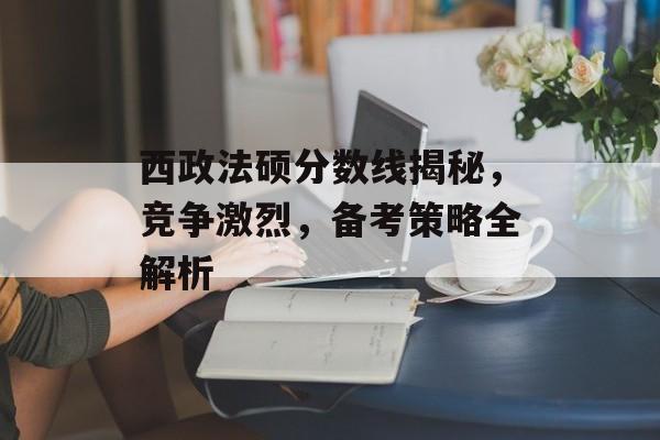 西政法硕分数线揭秘，竞争激烈，备考策略全解析
