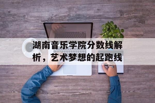 湖南音乐学院分数线解析，艺术梦想的起跑线
