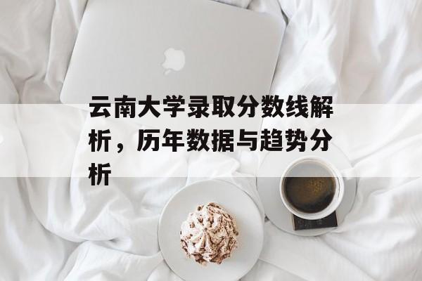 云南大学录取分数线解析，历年数据与趋势分析
