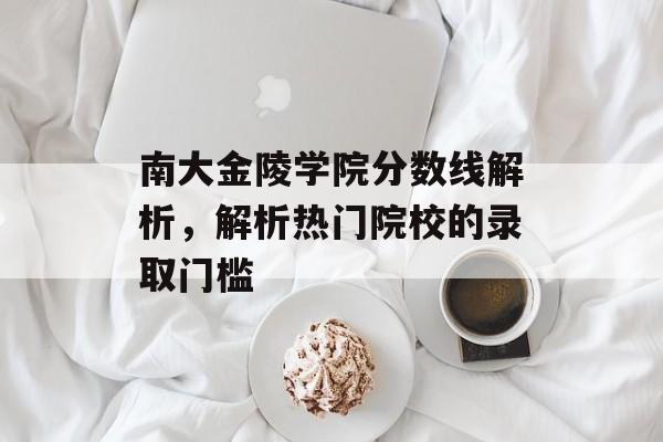 南大金陵学院分数线解析，解析热门院校的录取门槛