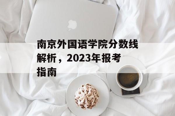 南京外国语学院分数线解析，2023年报考指南