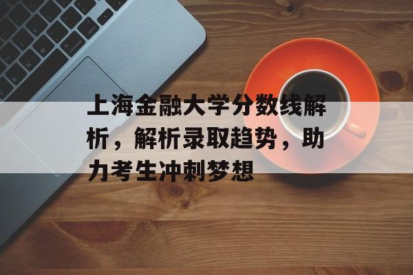 上海金融大学分数线解析，解析录取趋势，助力考生冲刺梦想