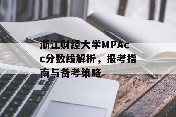 浙江财经大学MPAcc分数线解析，报考指南与备考策略