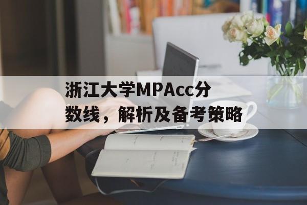浙江大学MPAcc分数线，解析及备考策略