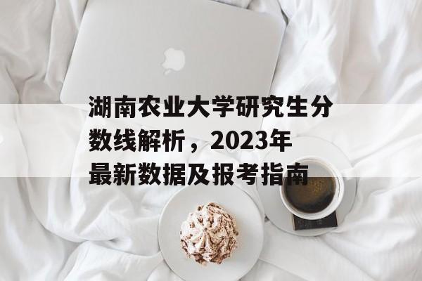 湖南农业大学研究生分数线解析，2023年最新数据及报考指南