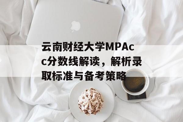 云南财经大学MPAcc分数线解读，解析录取标准与备考策略
