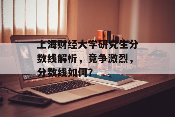 上海财经大学研究生分数线解析，竞争激烈，分数线如何？