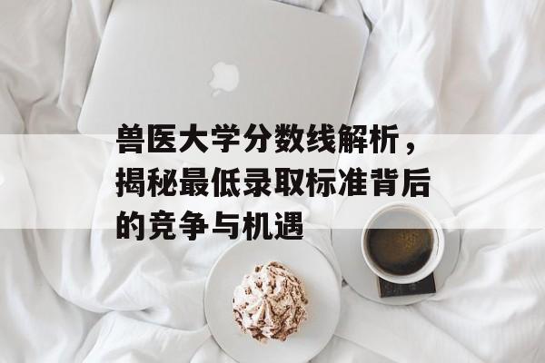 兽医大学分数线解析，揭秘最低录取标准背后的竞争与机遇