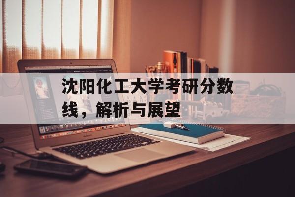 沈阳化工大学考研分数线，解析与展望